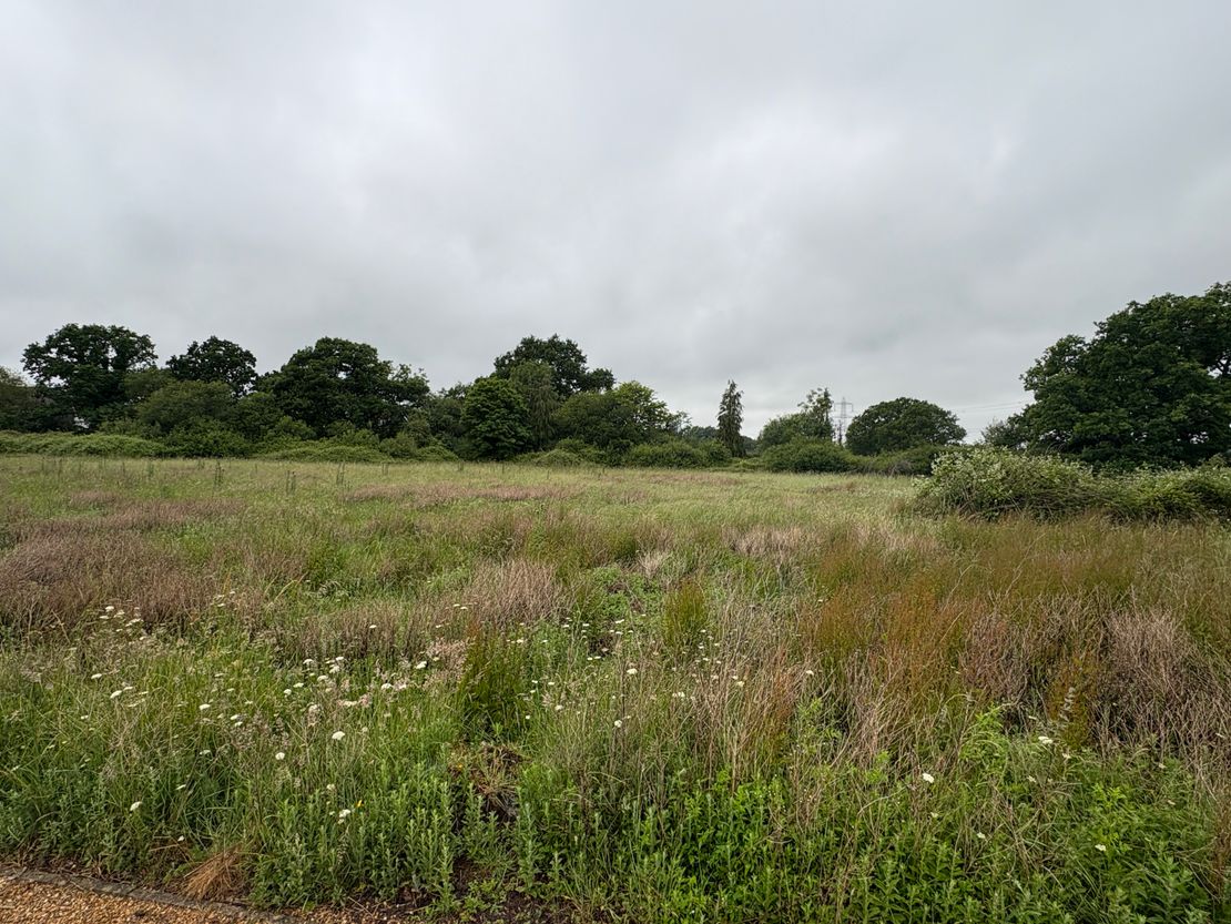 Development Land Off Lower Chase Road, Waltham Chase, Southampton, Hampshire, SO32 2LH
