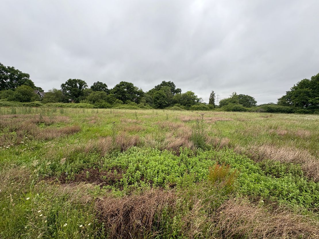 Development Land Off Lower Chase Road, Waltham Chase, Southampton, Hampshire, SO32 2LH