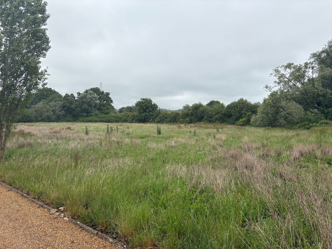 Development Land Off Lower Chase Road, Waltham Chase, Southampton, Hampshire, SO32 2LH