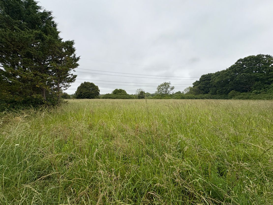Development Land Off Lower Chase Road, Waltham Chase, Southampton, Hampshire, SO32 2LH