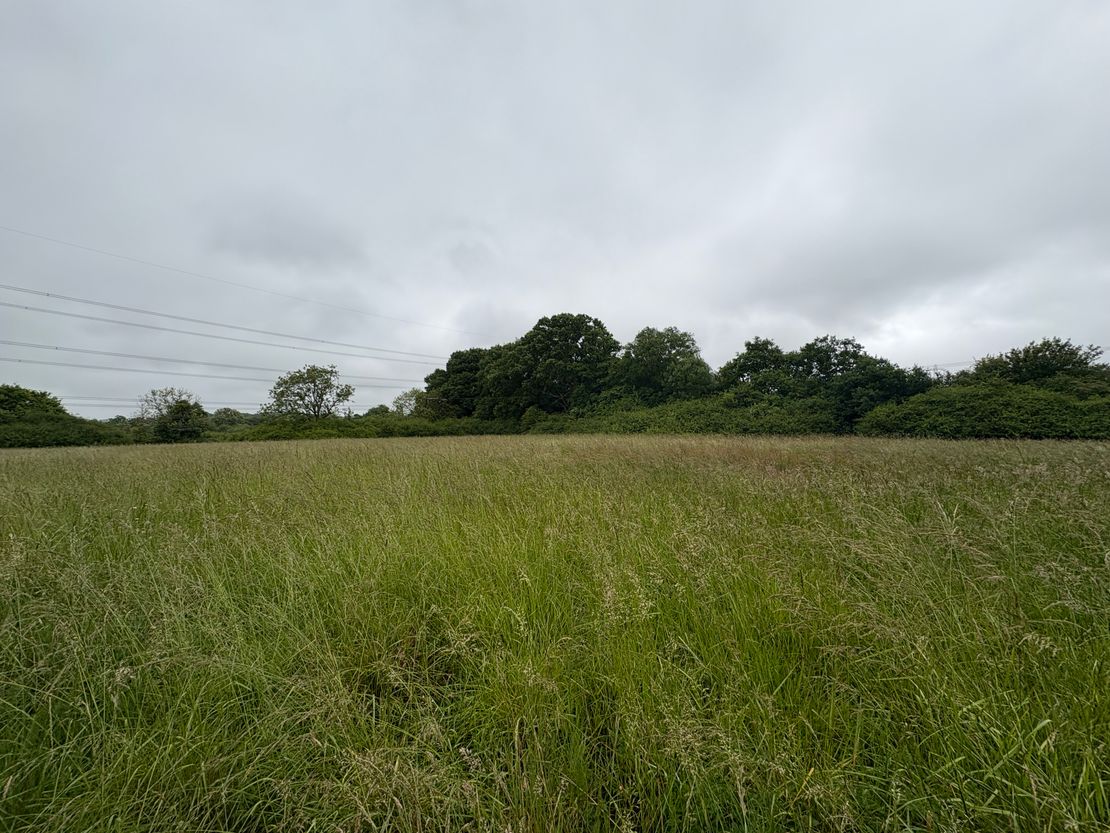 Development Land Off Lower Chase Road, Waltham Chase, Southampton, Hampshire, SO32 2LH