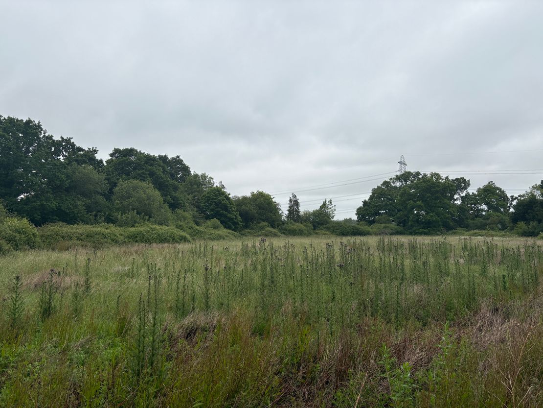 Development Land Off Lower Chase Road, Waltham Chase, Southampton, Hampshire, SO32 2LH