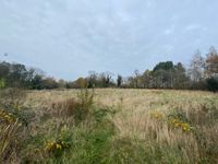 Property Image for Land At Peasehill Road, Ripley, Derbyshire, DE5 3JQ