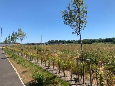 Property Image for Saltbox Business Park, Trade And Logistics City, Shripney Road, Bognor Regis, West Sussex, PO22 9NW