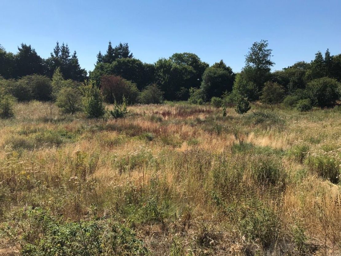 Prominent Development Site, Rougham Hill, Bury St Edmunds, IP33 2RW