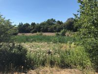 Property Image for Prominent Development Site, Rougham Hill, Bury St Edmunds, IP33 2RW