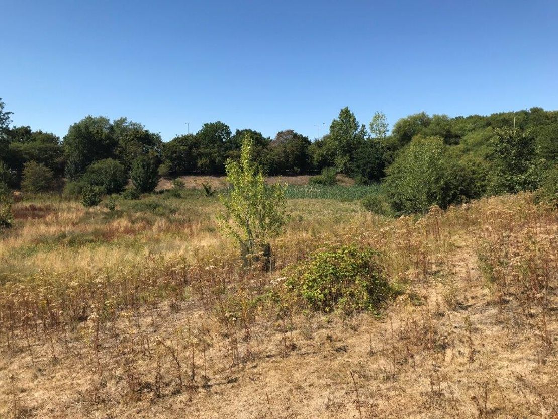 Prominent Development Site, Rougham Hill, Bury St Edmunds, IP33 2RW