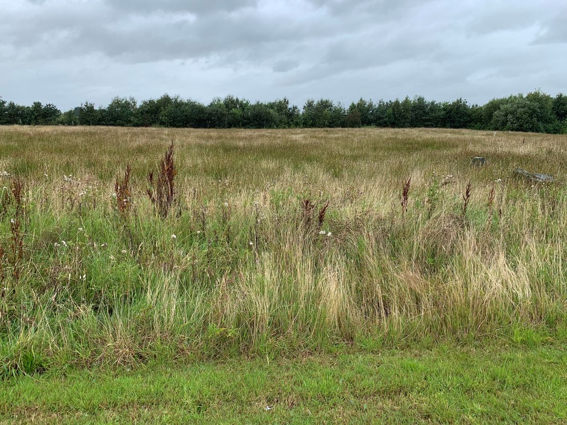 Land At Moorfield North Industrial Park, Kilmarnock, KA2 0FE