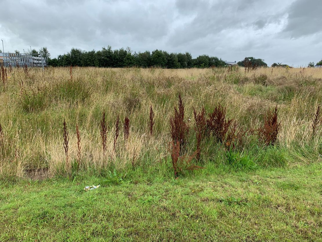 Land At Moorfield North Industrial Park, Kilmarnock, KA2 0FE