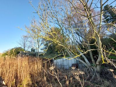 Property Image for Former Millfield Garden Centre, Brechin Road, Montrose, Angus, DD10 9LQ