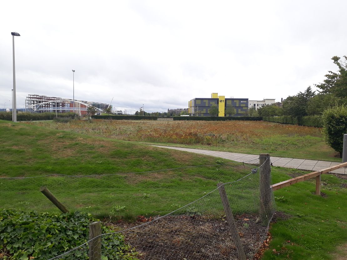 Land at Seabraes, Greenmarket, Dundee, DD1 4QB