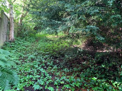 Property Image for Building Plot, Dundas Terrace, Melrose, TD6 9QU