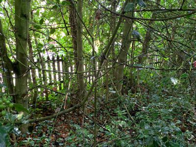 Property Image for Building Plot, Dundas Terrace, Melrose, TD6 9QU