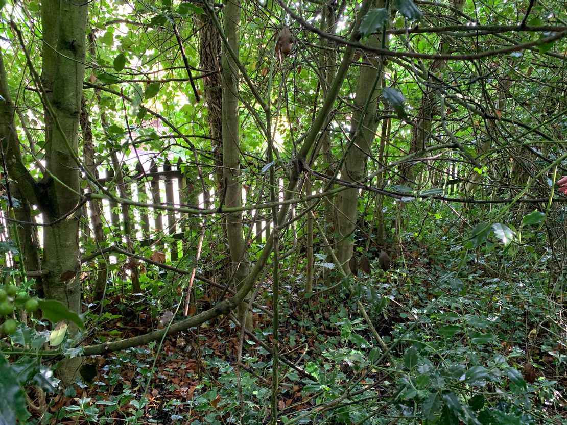 Building Plot, Dundas Terrace, Melrose, TD6 9QU