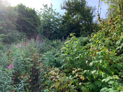 Property Image for Building Plot, Dundas Terrace, Melrose, TD6 9QU