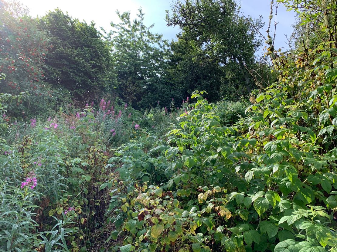 Building Plot, Dundas Terrace, Melrose, TD6 9QU