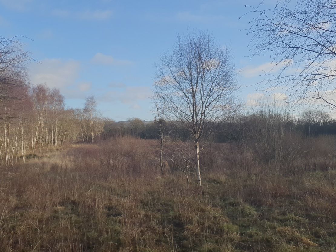 Former Craigrigg Brickworks, Bridgehouse, West Lothian, EH48 3DH