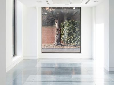 Property Image for Twenty, 20 Kingston Road, Staines-Upon-Thames, TW18, Staines, TW18 4LQ