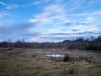 Property Image for Former MOD Site, Old Hall Road, Bromborough, Wirral, North West, CH62 3QX