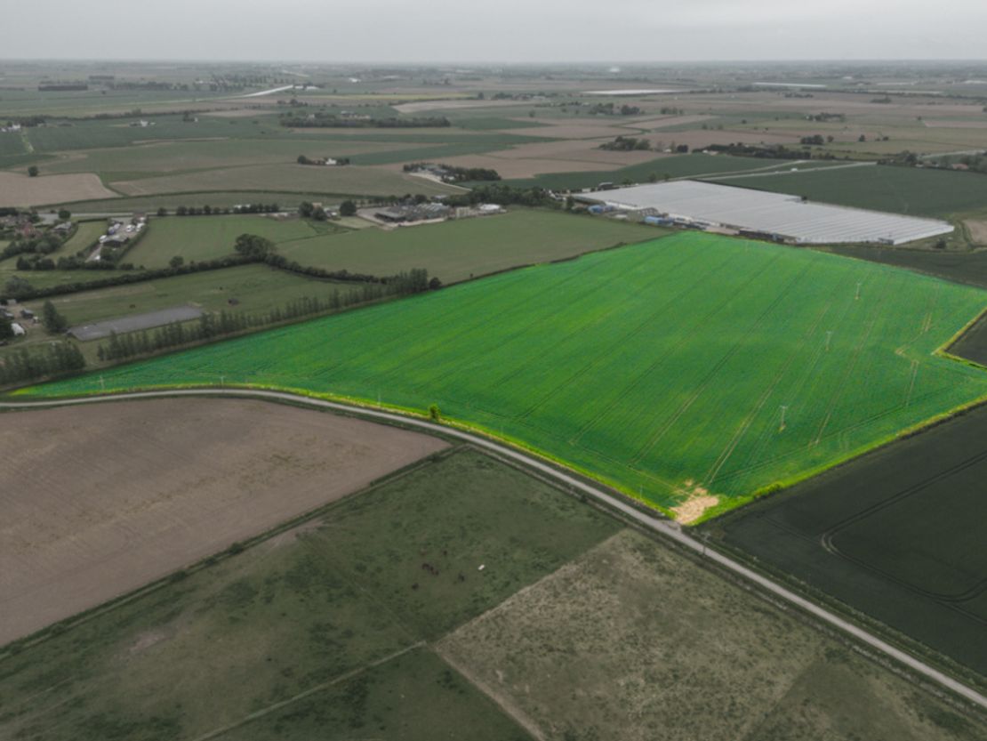 Single Block of Grade 1 Agricultural Land For Sale Freehold with Vacant Possession Extending to 23.42 Acres, 9.5 Hectares Approximately