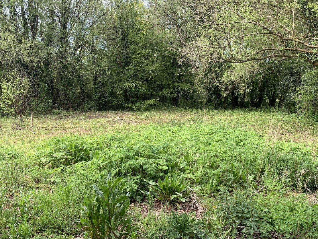 Open Storage Land, Eastwood Road, Ulcombe, Maidstone, Kent, ME17 1ET
