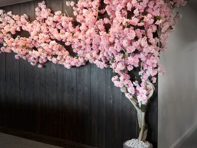 Property Image for The Cherry Tree Restaurant & Bar, A6 Chorley Road, Blackrod, Bolton, Lancashire, BL6 5LA