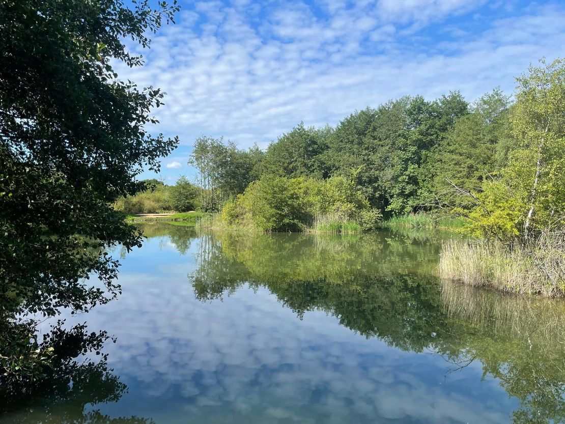 Barnstone Lakes, Langar, Nottinghamshire, NG13 9HP