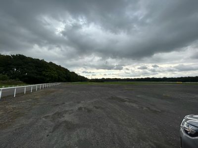 Property Image for Haydock Racecourse, Warrington Road, Newton Le Willows, WA12 0HQ