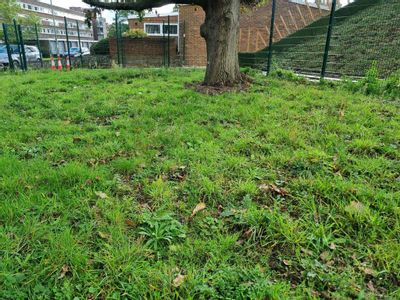 Property Image for Cameron Road, Bromley