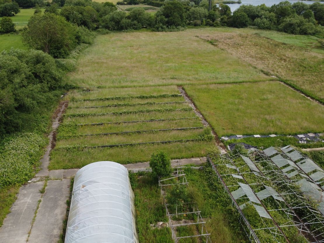 Little Farm Nurseries, North Town Moor, Maidenhead, SL6 7JR