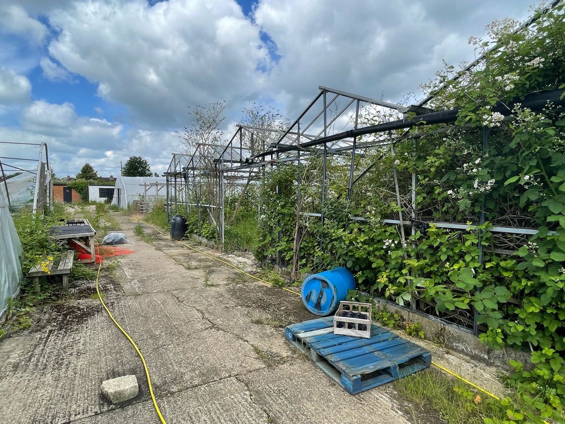 Little Farm Nurseries, North Town Moor, Maidenhead, SL6 7JR