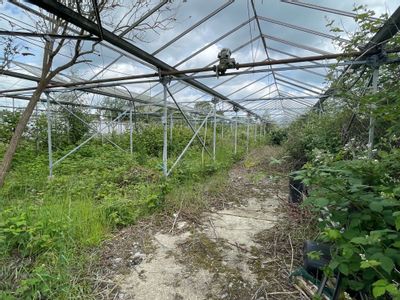 Property Image for Little Farm Nurseries, North Town Moor, Maidenhead, SL6 7JR