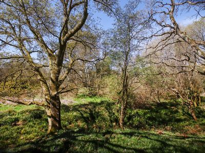 Property Image for Petworth GU28, UK