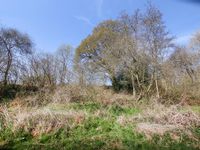 Property Image for Petworth GU28, UK