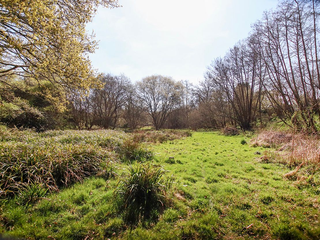 Petworth GU28, UK
