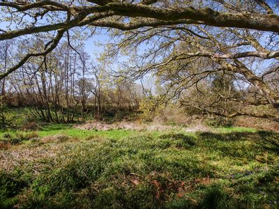 Property Image for Petworth GU28, UK