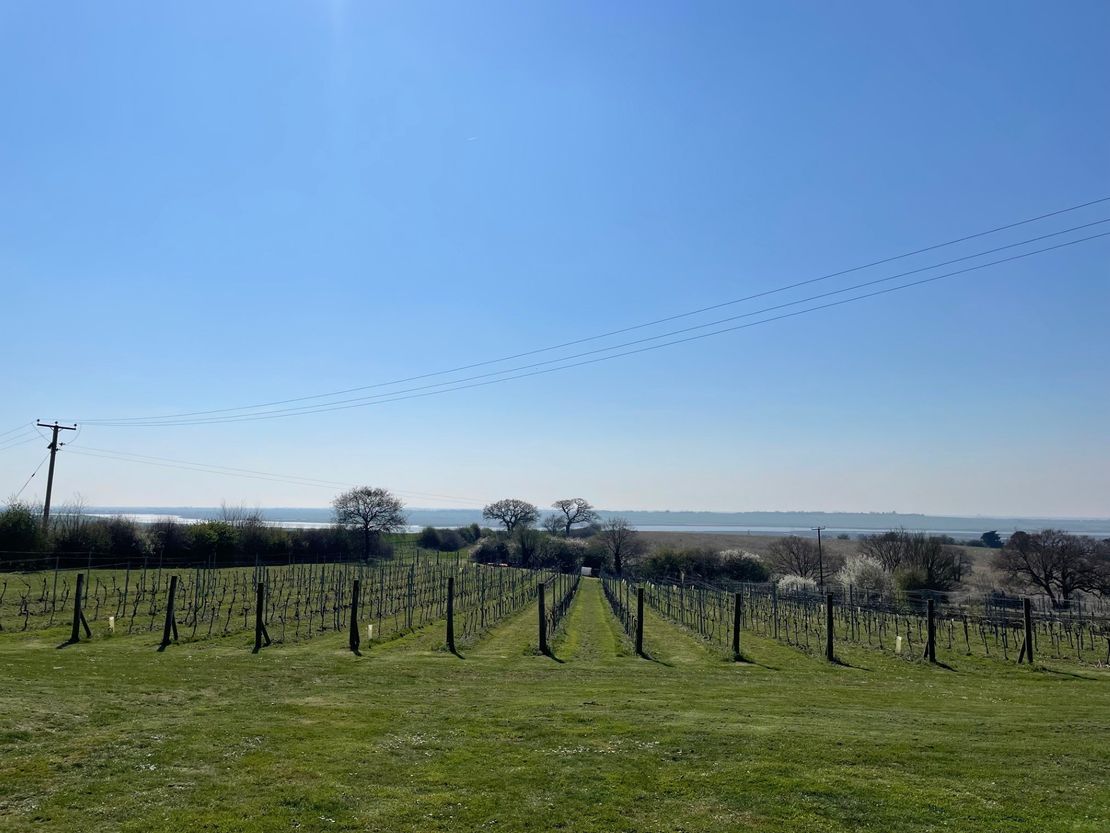 Hall Farm Cottages & Barn, B1010, Althorne, Burnham On Crouch, Essex, CM3 6BZ