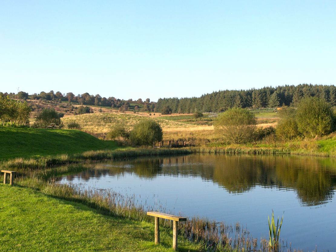 Llandegla Fishery & Campsite, Llandegla, North Wales, LL11 3AA