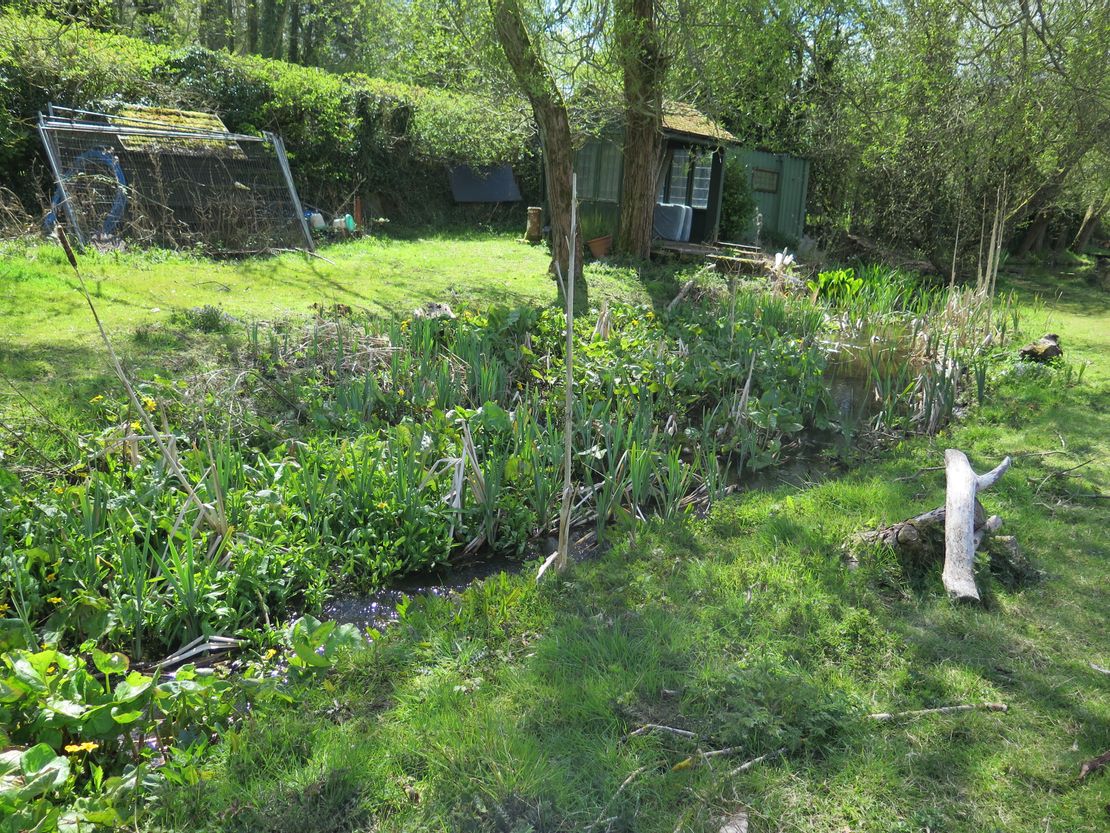 Lot 2 - Bleak Hills Lane Fishery, Mansfield, Nottinghamshire