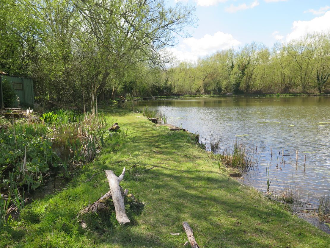 Lot 2 - Bleak Hills Lane Fishery, Mansfield, Nottinghamshire