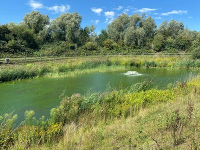 Property Image for Theale Lakes Business Park, Theale, Reading, RG7 4GB