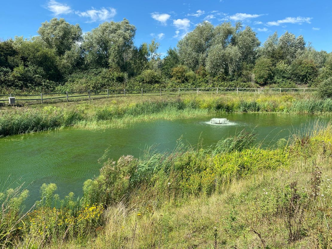 Theale Lakes Business Park, Theale, Reading, RG7 4GB
