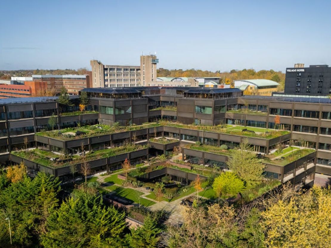 Plant, Basingstoke, RG21 4HG
