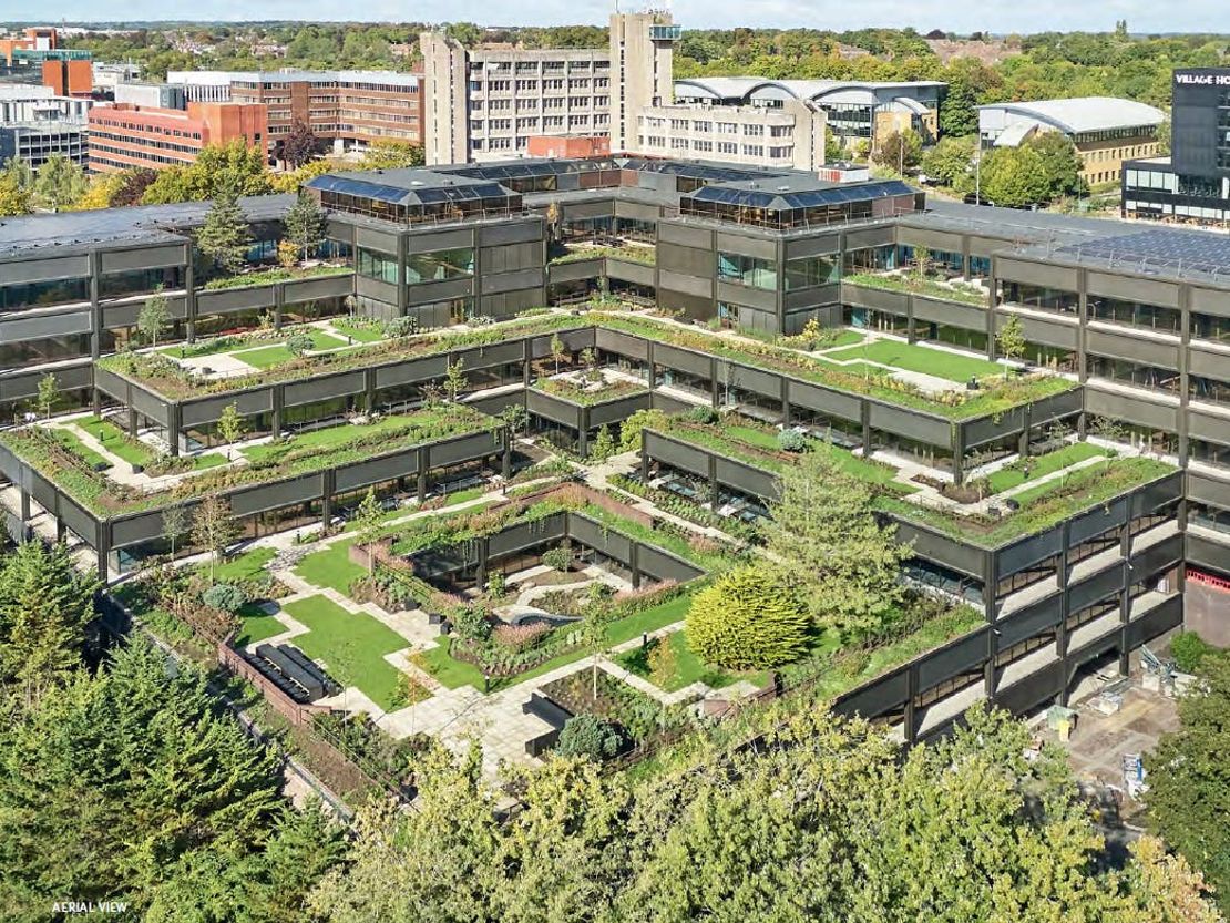 Plant, Basingstoke, RG21 4HG