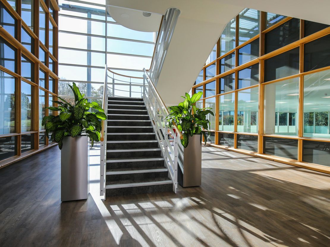 Rosewood, Chineham Park, Basingstoke, RG24 8UT