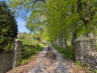 Property Image for Former Baliol School, A683, Sedbergh, Cumbria, LA10 5LH