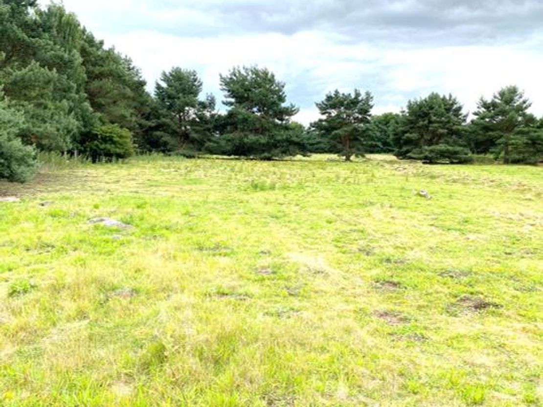 Site 5 & 6, Balmakeith Business Park, Nairn, Highland, IV12 5QR