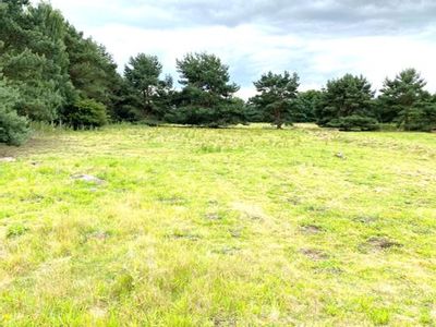 Property Image for Site 5, Balmakeith Business Park, Nairn, Highland, IV12 5QR