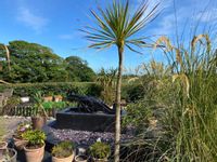 Property Image for Torrs Warren Country House Hotel & Stables Cottage, Stoneykirk, Nr. Portpatrick, Dumfries And Galloway, DG9 9DH