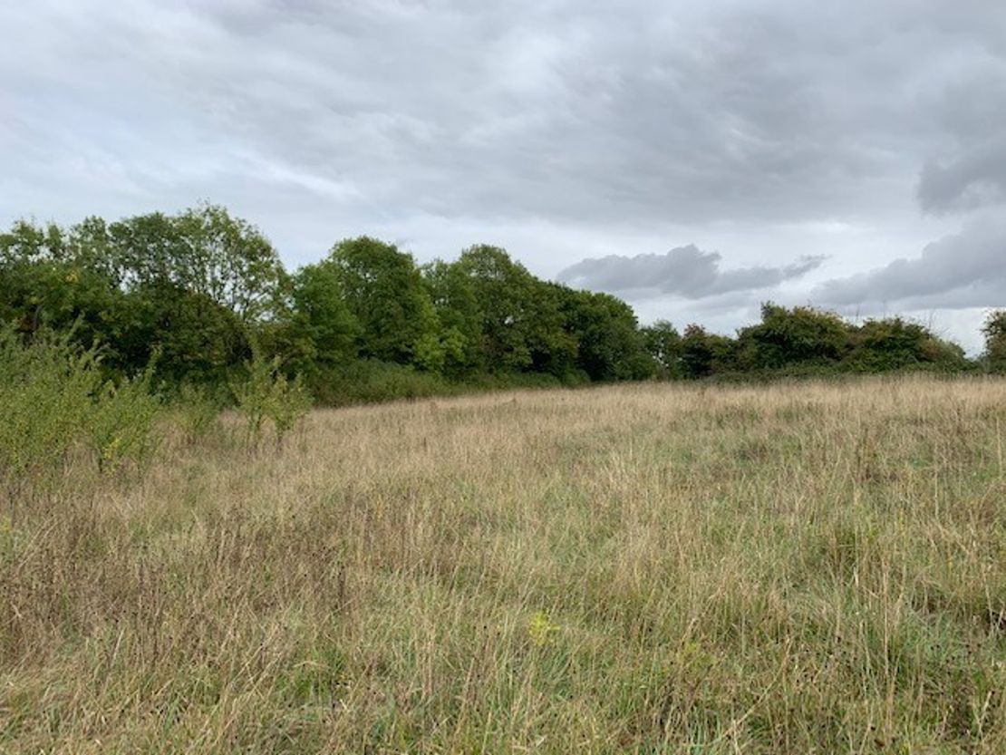 Land At Tingewick Road, Buckingham, MK18 1YT